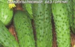 Какие сорта или гибриды огурцов и томатов можно посадить в пленочную обогреваемую теплицу для осенне-зимнего плодоношения
