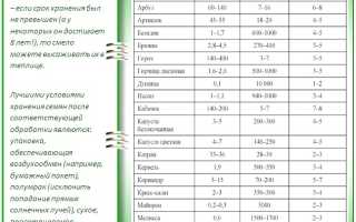 Подготовка семян к посеву: лучшие способы, советы экспертов