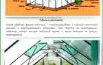 Обустройство теплицы из поликарбоната внутри: особенности зонирования