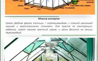 Обустройство теплицы из поликарбоната внутри: особенности зонирования