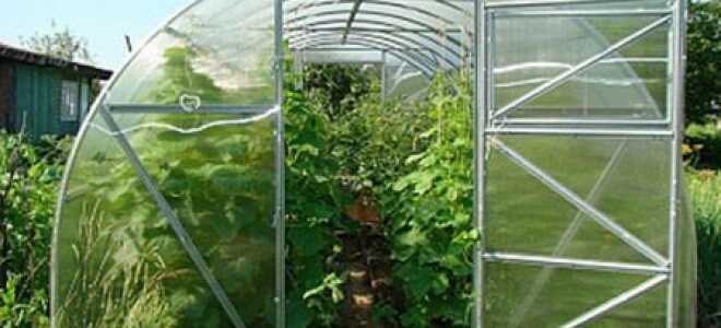 Каркас для теплицы из поликарбоната: делаем усиленный металлический каркас своими руками