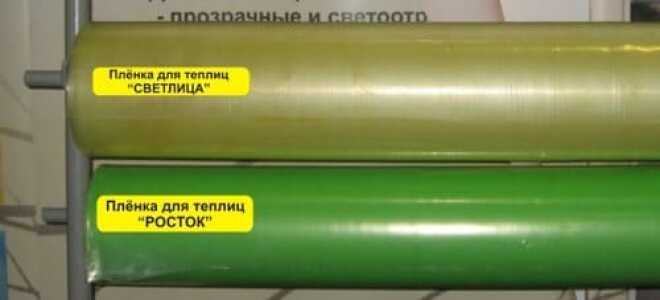 Пленка Светлица для парников и теплиц: характеристики материала