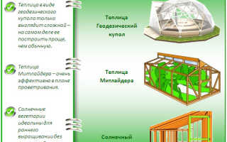Виды теплиц — какие конструкции бывают и какую лучше выбрать