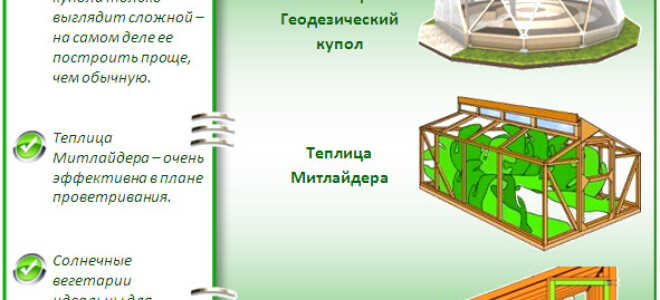 Виды теплиц — какие конструкции бывают и какую лучше выбрать