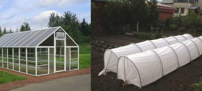 Чем теплица отличается от парника: принципиальные различия