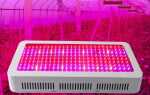 LED или светодиодные лампы для теплицы