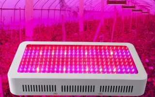 LED или светодиодные лампы для теплицы