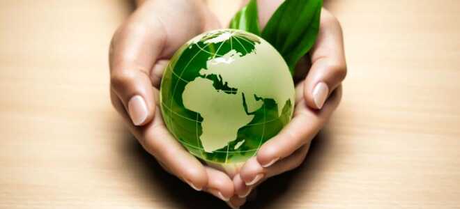 Плиты МДВП — природа дарит лучшее