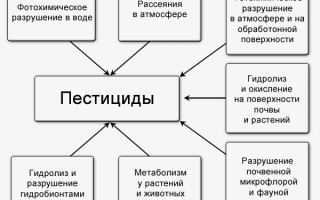 Классификация Пестицидов По Способам Применения
