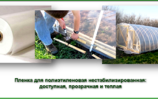 Пленка для парника и теплиц — какая бывает и как выбрать лучшую