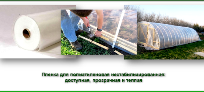 Пленка для парника и теплиц — какая бывает и как выбрать лучшую