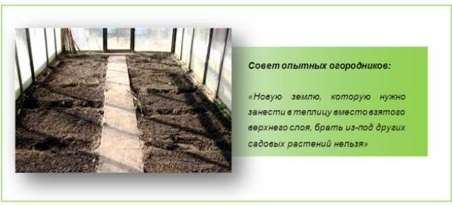 Осенние работы в теплице: секреты бывалых дачников-огородников