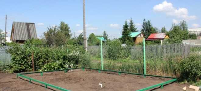 Теплица из поликарбоната своими руками: как избежать ошибок при выборе и мотаже