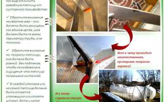 Как выбрать качественную теплицу: полезные советы из первых рук