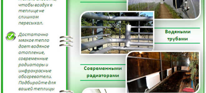 Отопление теплицы из поликарбоната: способы обустройства своими руками