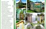 Теплица из пластиковых бутылок: обзор 5 способов постройки