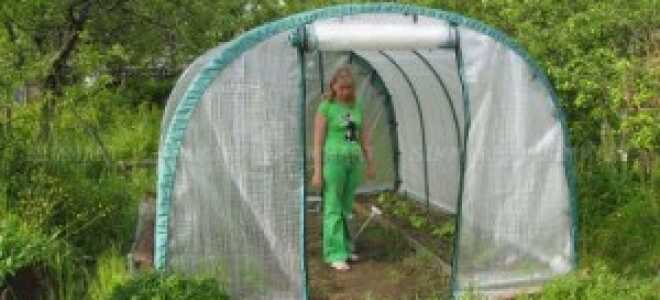 Каркас Парника Под Пленку: Учимся Делать Сами
