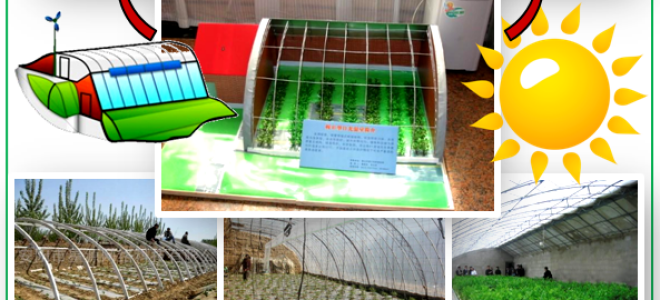 Солнечный вегетарий Иванова: опыт строительства своими руками