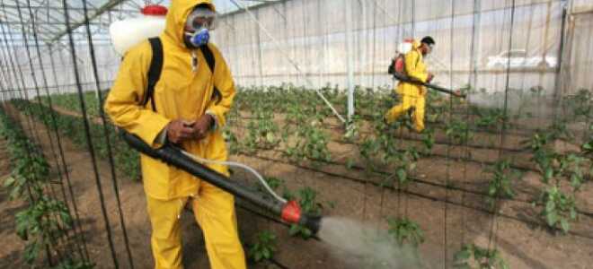 Пестициды Против Насекомых Для Сельского Хозяйства