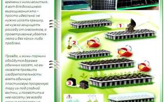 Кассеты для рассады: как самому соорудить хорошие ящики под саженцы