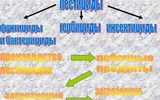 Пестициды: возможный вред для организма человека