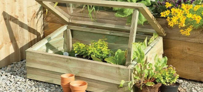 Парник для рассады: как сделать рассадник своими руками, мини-парник на окне + видеоПарник для рассады: как сделать рассадник своими руками, мини-парник на окне + видео