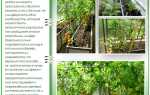 Красивые высокие грядки в теплице на даче своими руками