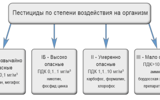 Пестицид ДДТ и его виды