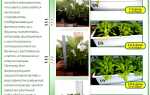 Подсветка для рассады своими руками: пошаговые мастер-классы