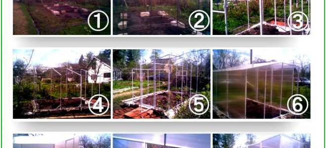 Теплица из поликарбоната своими руками — фото, видео, схемы