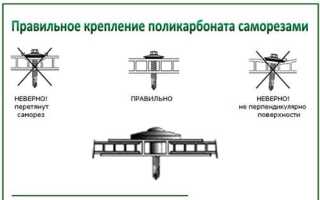 Крепление поликарбоната к каркасу теплицы: основные способы, инструкции по монтажу