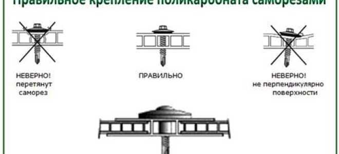 Крепление поликарбоната к каркасу теплицы: основные способы, инструкции по монтажу
