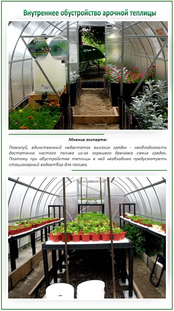 Обустройство грядок в теплице из поликарбоната  