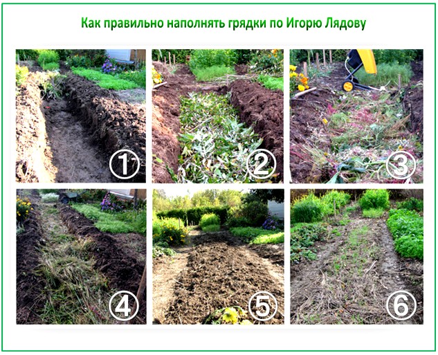 Устройство грядки по Лядову