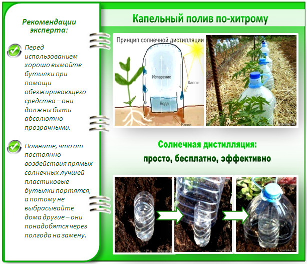 Автополив