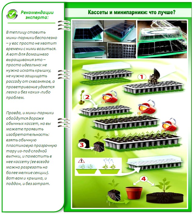 Мини-парники как кассеты для рассады