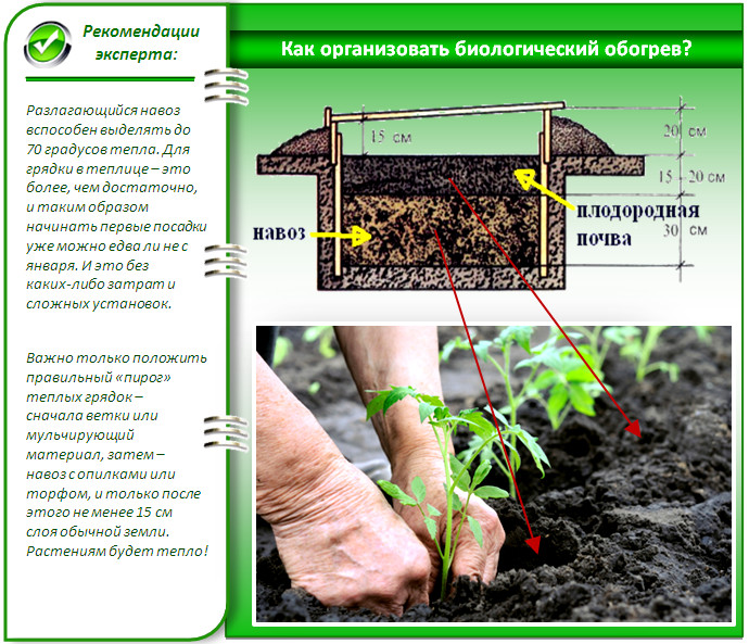 Как правильно сделать биологический обогрев