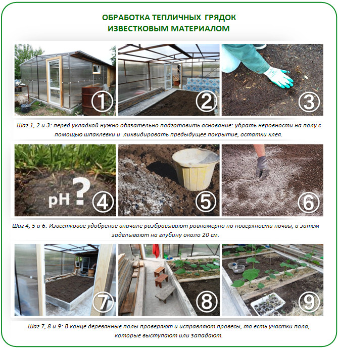 Обработка известью в теплице