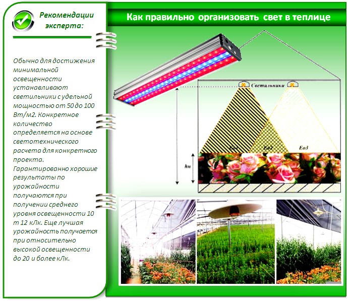 Лампы для теплиц