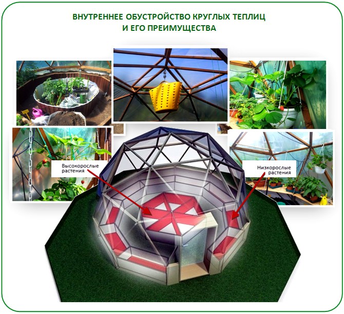 Грядки в круглой теплице