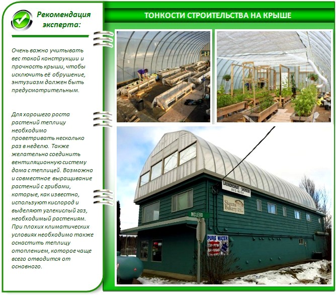 Городская теплица на крыше