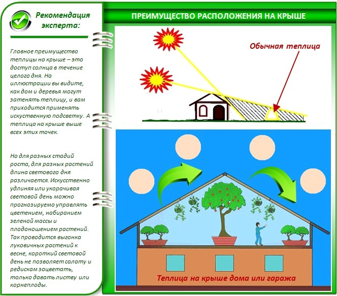 Преимущества теплицы на крыше