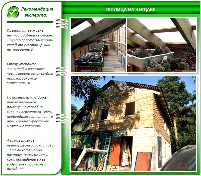Прозрачная крыша