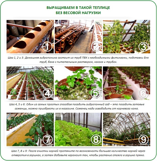 banya2015-03-24_1425