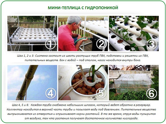 Мини-теплица на гридропонике