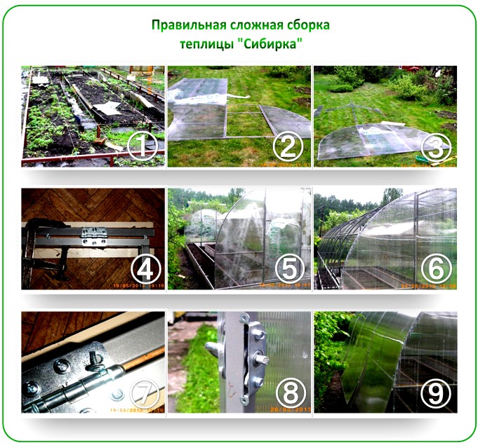 Сборка теплицы Сибирка