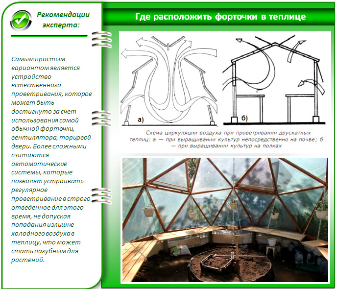 Вентиляция в теплице