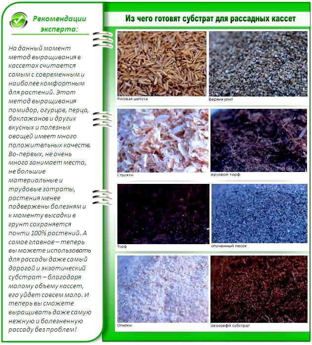 Чем наполнять кассеты для рассады