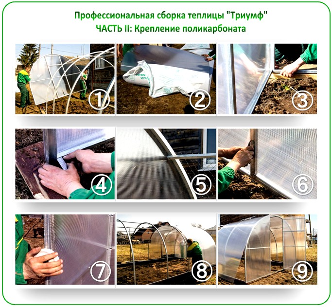 Сборка теплицы Триумф