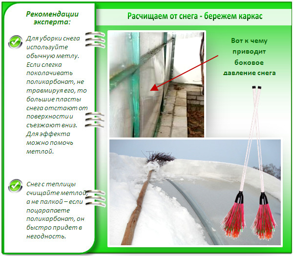 Расчистка теплицы